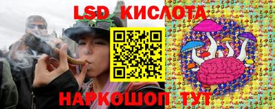 винт Заволжье