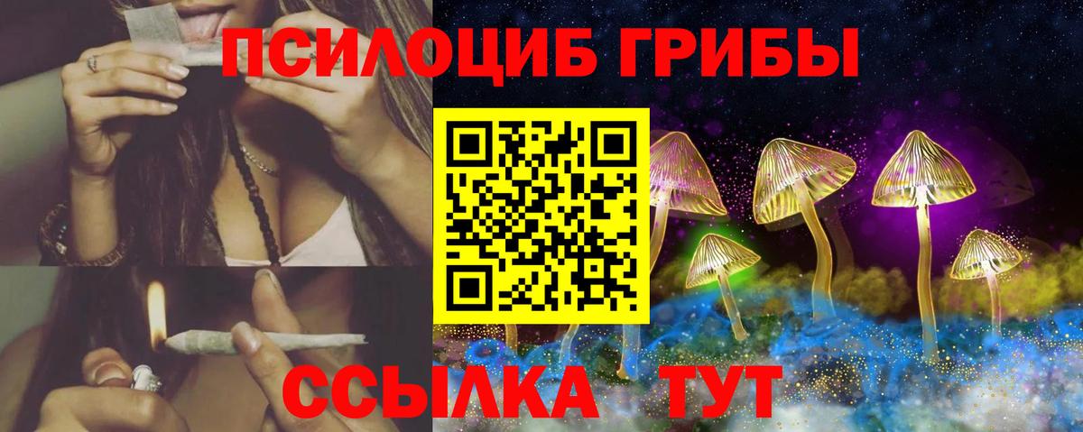 Галлюциногенные грибы Cubensis Майкоп